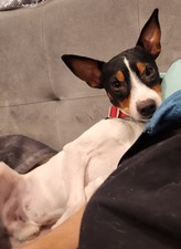 Cooper