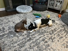 Enlarge photo 15