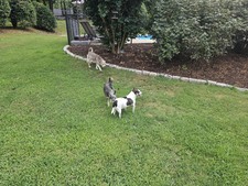 Enlarge photo 33
