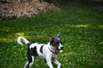 Enlarge photo 8