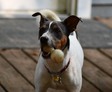 Enlarge photo 12