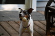 Enlarge photo 13