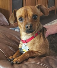 NR 2024 Adoptions (Jan-Dec 2024)