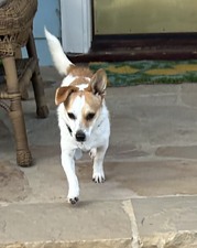 Mimi