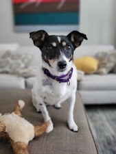 Mitzi