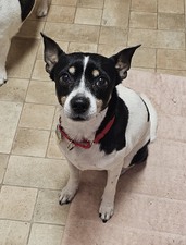 Opie