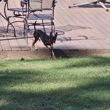 Enlarge photo 5