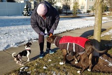 Enlarge photo 7