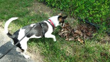 Enlarge photo 14