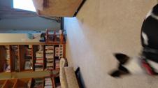 Enlarge MPEG4 9