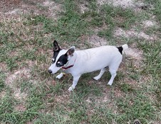 Enlarge photo 15