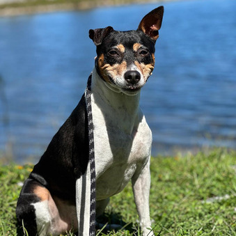 Bilbo
