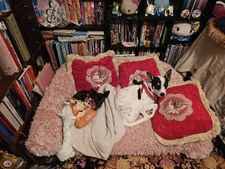 Enlarge photo 15