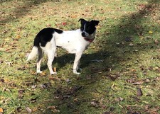 Enlarge photo 9