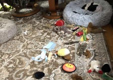 Enlarge photo 11