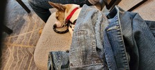 Enlarge photo 9