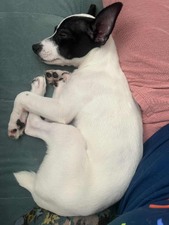 Enlarge photo 6