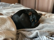 Enlarge photo 9