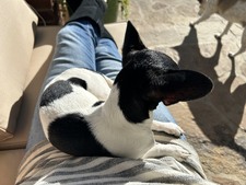 Enlarge photo 11