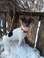 NR 2026 Adoptions (Jan-Dec 2026)