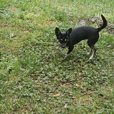 Enlarge photo 2
