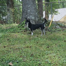 Enlarge photo 3