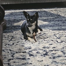 Enlarge photo 16