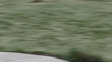 Enlarge MPEG4 30