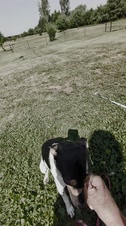 Enlarge MPEG4 40