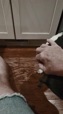Enlarge MPEG4 47