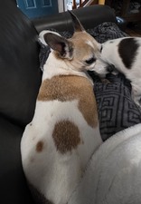 Enlarge photo 4