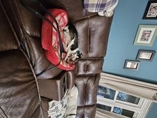 Enlarge photo 11