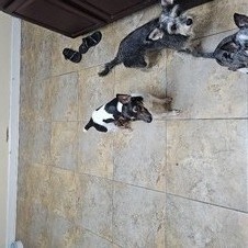 Enlarge photo 14
