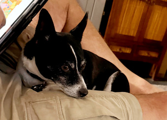 Enlarge photo 3