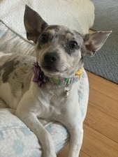 Lu