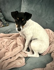 Mabel (Atlanta, GA)