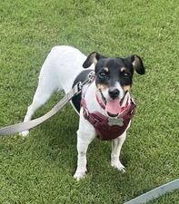 Mabel (Atlanta, GA)