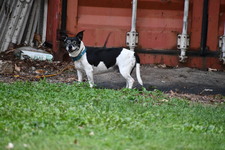 Enlarge photo 2