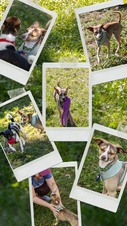 Enlarge photo 18