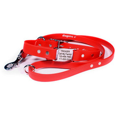 Collars, Leashes, Harnesses