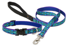 Collars & Leashes