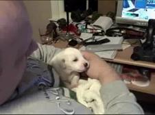 Enlarge WMV 2