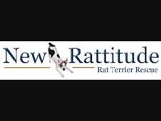 New Rattitude video