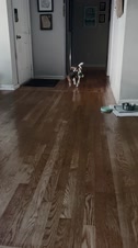 Enlarge MOV 10