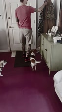 Enlarge MOV 11