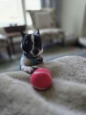 Enlarge photo 18