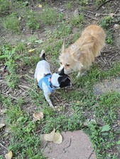 Enlarge photo 7