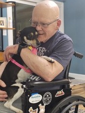 Nova, island lake IL