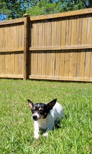 Enlarge photo 5