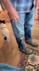 Enlarge MOV 4